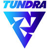 Киберкоманда «Tundra» Киберкоманда «Tundra»