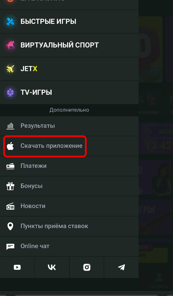 Кнопка скачивания в меню Макслайн